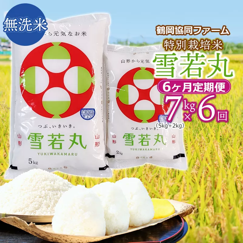 【令和7年産先行予約】 特別栽培米雪若丸 無洗米 7kg (5kg+2kg) ×6ヶ月【定期便】 山形県鶴岡産　鶴岡協同ファーム