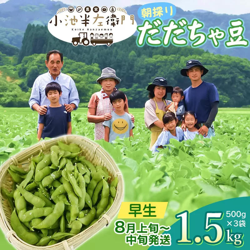 【令和8年産先行予約】朝採りだだちゃ豆 【早生】1.5kg (500g×3袋) 枝豆　小池半左衛門