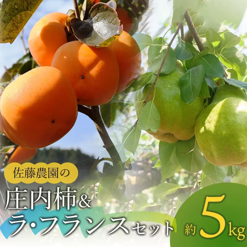 【令和7年産先行予約】庄内柿＆ラ・フランス 2L～3L玉 約5kg 山形県鶴岡市産　佐藤農園