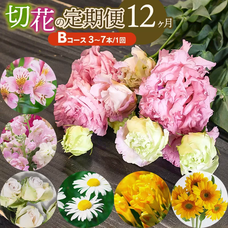鶴岡産　切花の定期便12ヶ月 Bコース　花蔵（HANAZO）　K-733
