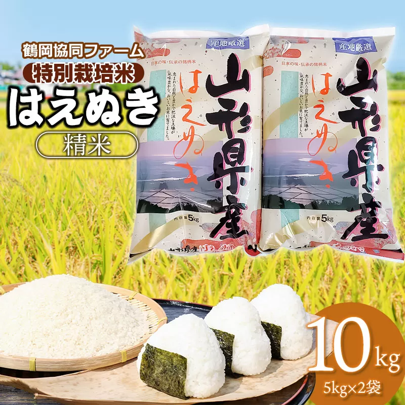 【令和7年産先行予約】 特別栽培米はえぬき 10kg (5kg×2袋) 山形県鶴岡産　鶴岡協同ファーム