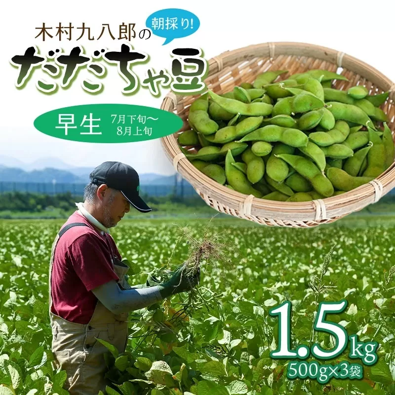 【令和7年産先行予約】 木村九八郎の朝採り！新鮮！だだちゃ豆 「早生」 1.5kg（500ｇ×3袋） 山形県鶴岡市産　K-729