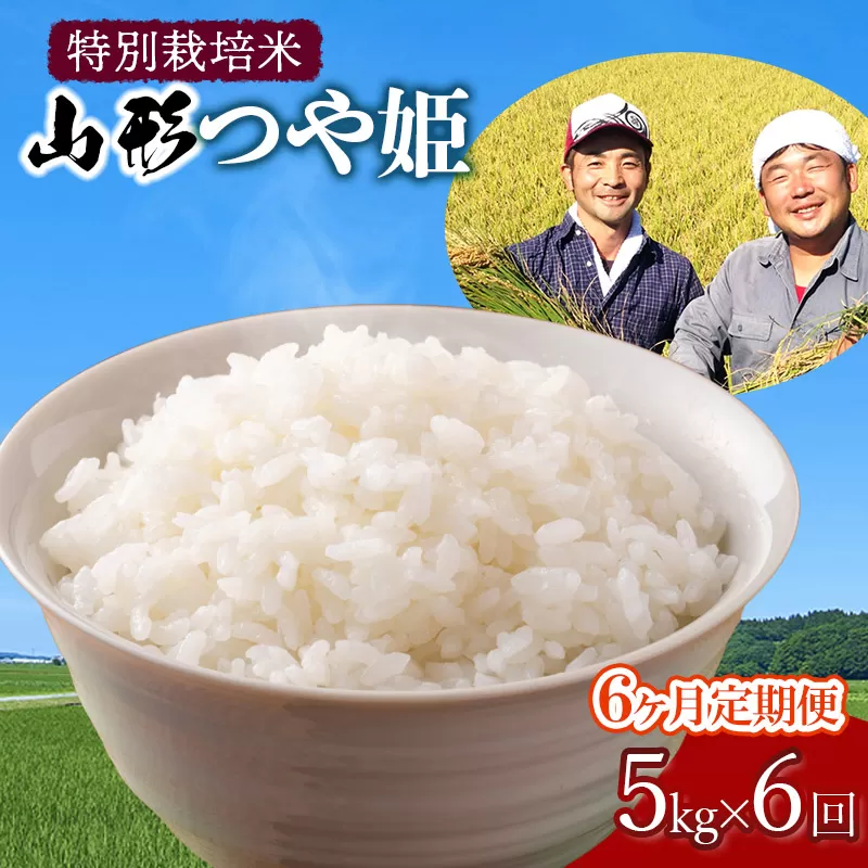 【令和6年産先行予約】【定期便】 特別栽培米 山形つや姫 精米 5kg×6ヶ月　山形県鶴岡市産　鶴岡ファーマーズ