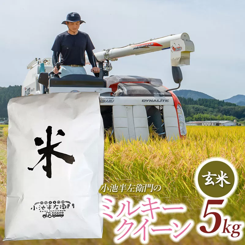 数量限定 【令和7年産先行予約】 山形県庄内産 小池半左衛門のお米 ミルキークイーン 玄米 5kg (5kg×1袋)