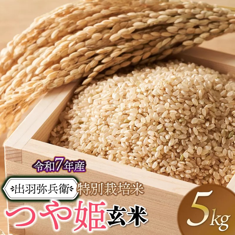 【令和7年産先行予約】特別栽培米 つや姫 【玄米】 5kg　山形県鶴岡市産　出羽弥兵衛
