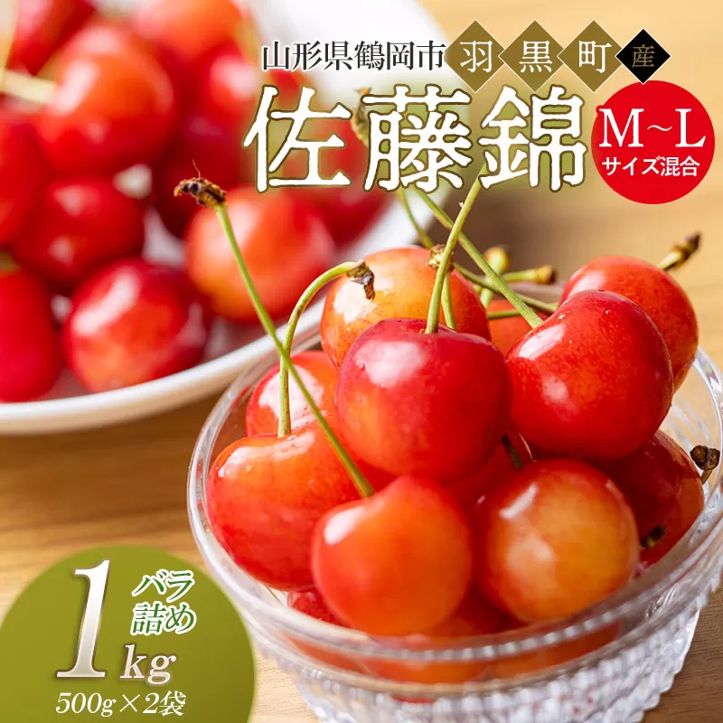 【令和8年産先行予約】さくらんぼ 佐藤錦 M~Lサイズ混合 バラ詰め 1kg (500g×2P) 庄内さくらんぼ園