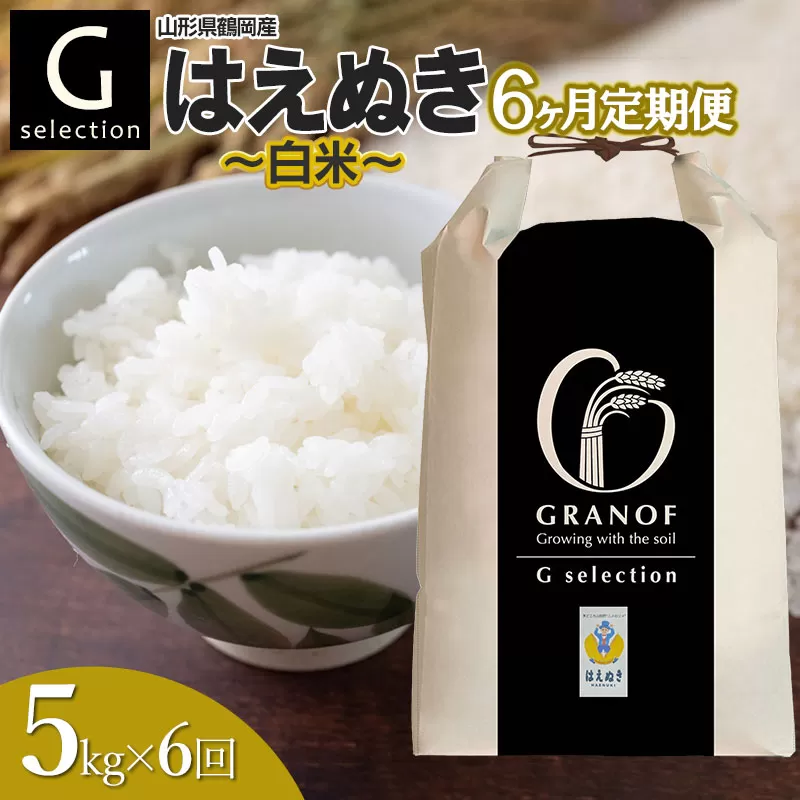 【令和7年産先行予約】【定期便6ヶ月】 Gセレクション はえぬき【白米】 5kg×6ヶ月 山形県鶴岡市産　株式会社グラノフ