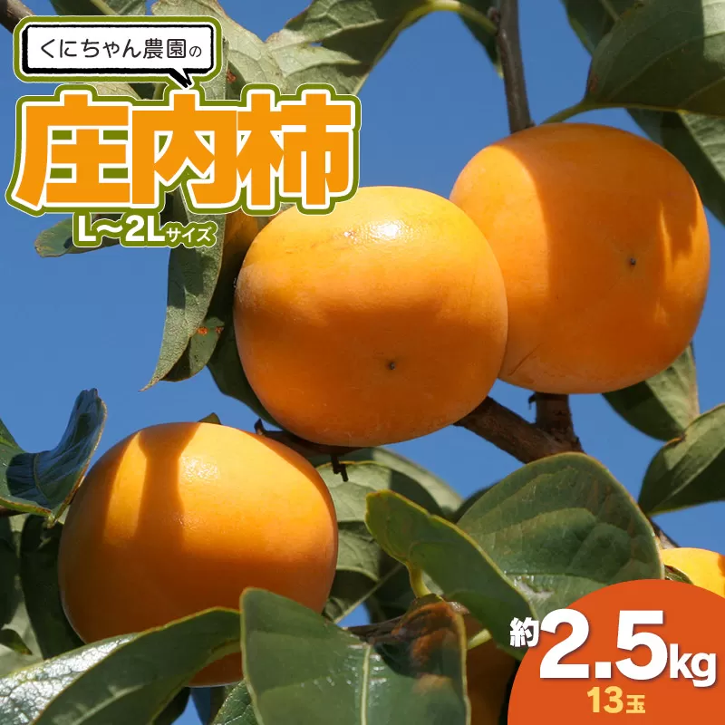【令和7年産】くにちゃん農園の庄内柿　約2.5kg（L～2Lサイズ 13玉）　[K-722]