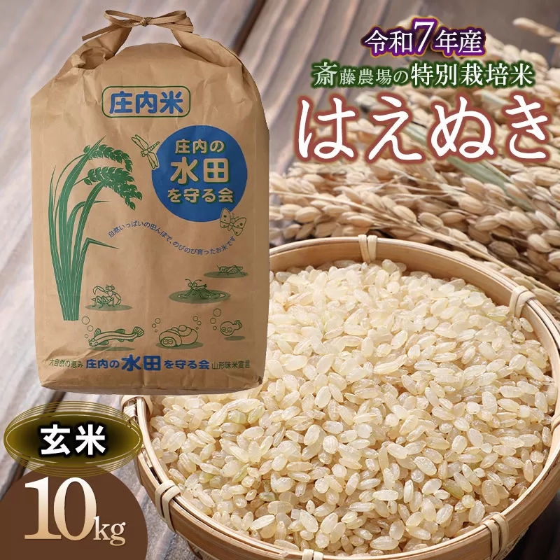 【令和7年産先行予約】 斎藤農場の特別栽培米 はえぬき 玄米 10kg(10kg×1袋)　K-759
