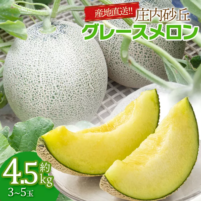 【令和7年産先行予約】産地直送！ 庄内砂丘グレースメロン約4.5kg（3～5玉）山形県鶴岡市 佐藤農園　K-733
