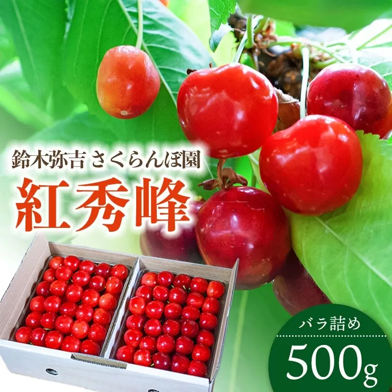 【令和7年産先行予約】 さくらんぼ 「紅秀峰」 バラ詰め 500g 山形県鶴岡産　鈴木弥吉さくらんぼ園　K-732