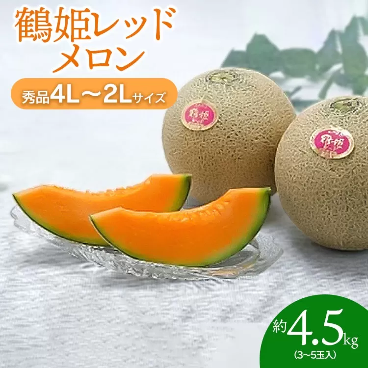 【令和7年産先行予約】 鶴姫レッドメロン 約4.5kg（3玉～5玉） 秀品 4L～2L　K-743　JA鶴岡　赤肉メロン