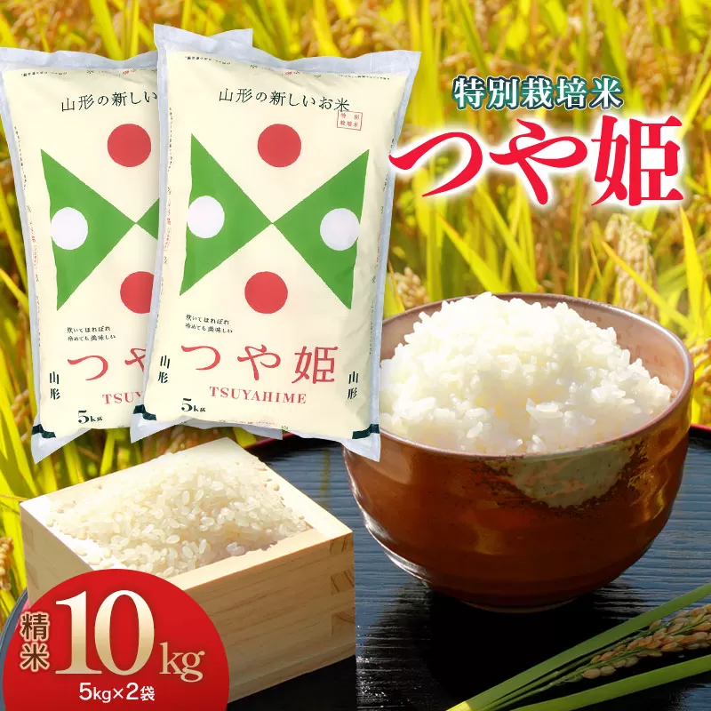 【令和7年産】 特別栽培米 つや姫 精米5kg×2袋 計10kg 山形県 庄内産　米食味鑑定士お薦め