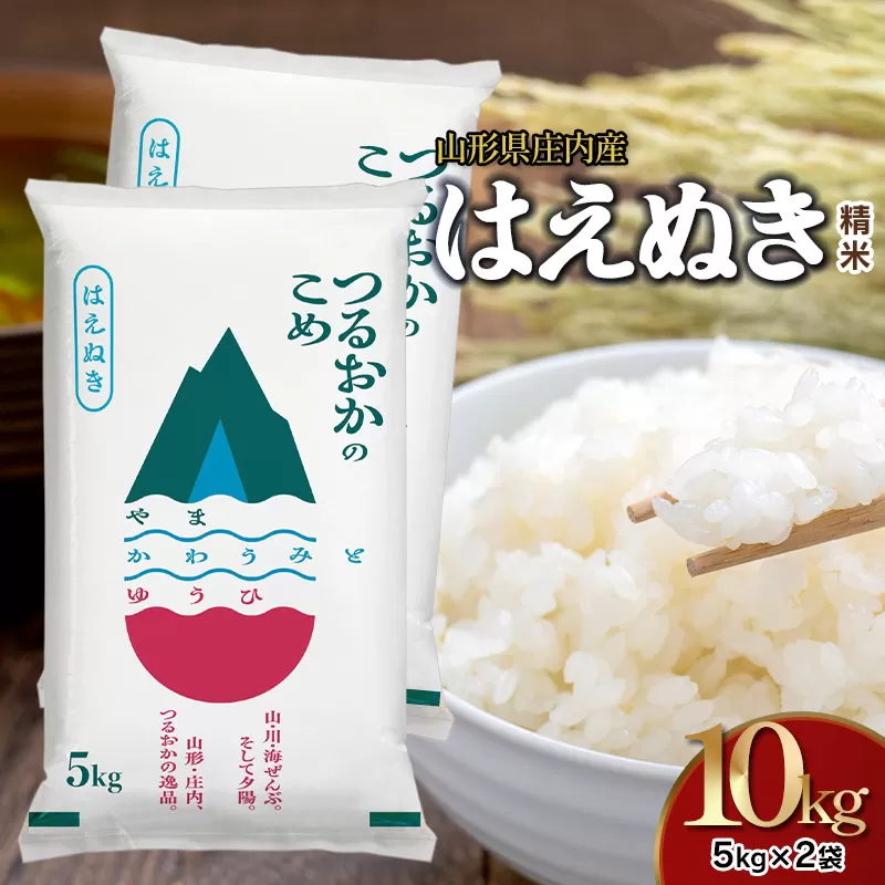 【令和7年産】はえぬき 精米 5kg×2袋 計10kg 山形県 庄内産　米食味鑑定士お薦め