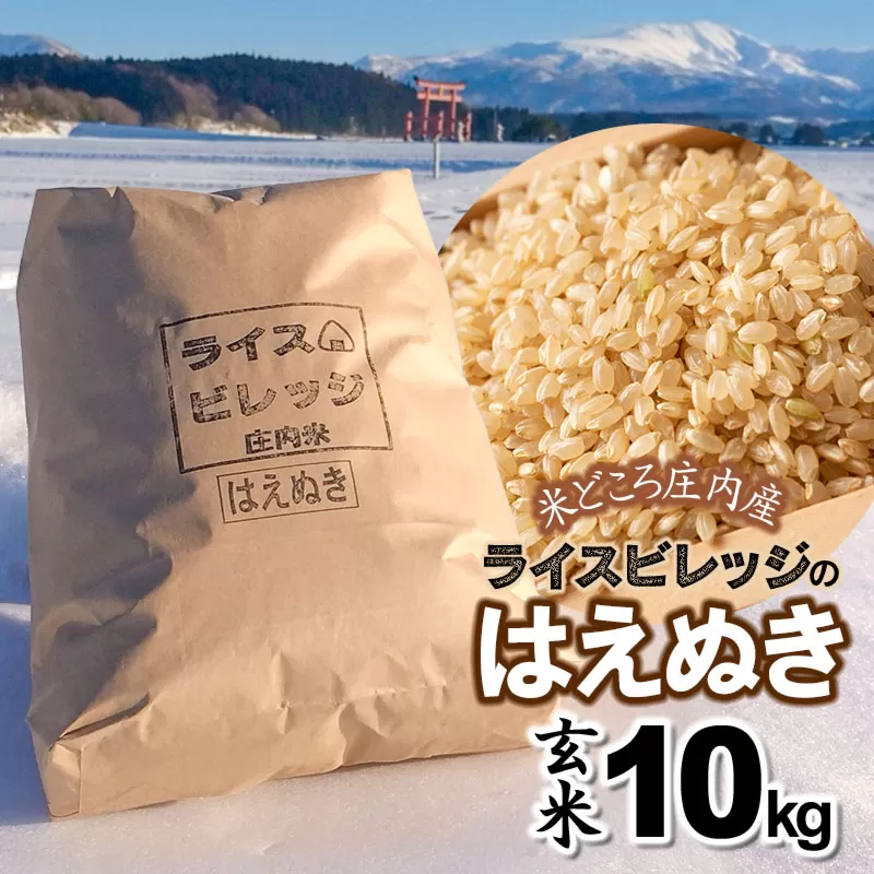 令和7年産 米どころ庄内産ライスビレッジのはえぬき 玄米10kg K-7114