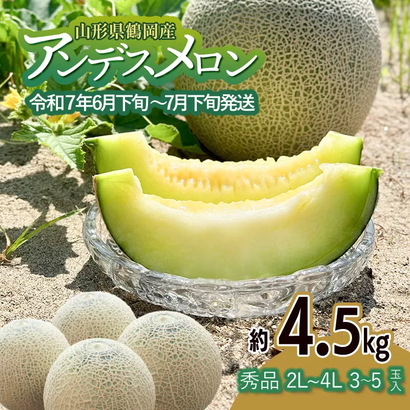 【令和7年産先行予約】アンデスメロン（青肉） 約4.5kg 2L～4L 【秀品】 3玉～５玉入 【令和7年6月下旬～7月下旬頃発送予定】 山形県鶴岡産 庄内砂丘メロン 御殿まりメロン 丸果庄内青果