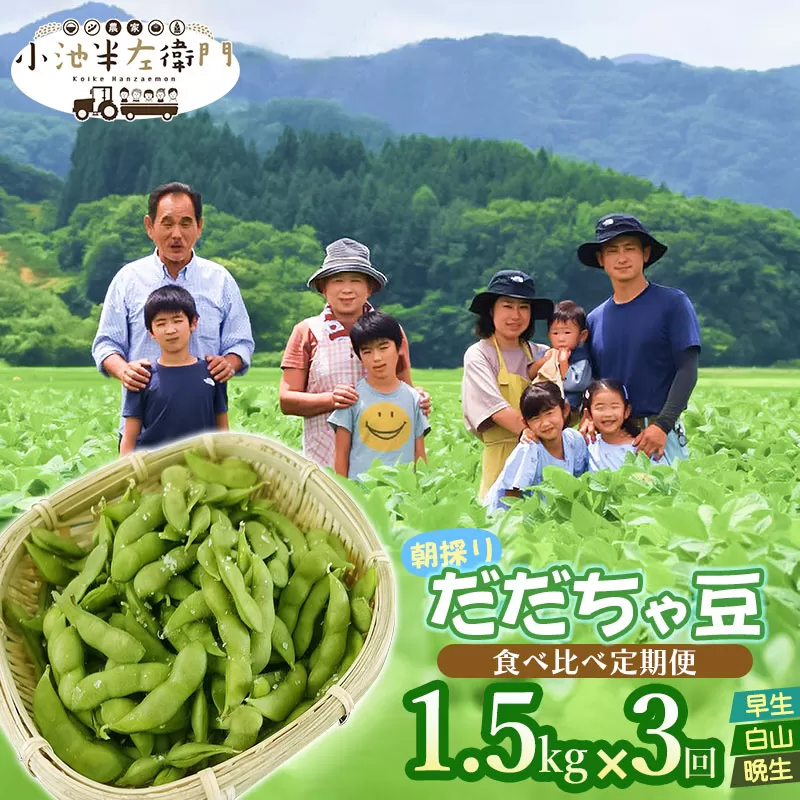 【令和7年産先行予約】朝採りだだちゃ豆 食べ比べ定期便 1.5kg (500g×3袋)×3回 お届け 早生・白山・晩生 枝豆　小池半左衛門