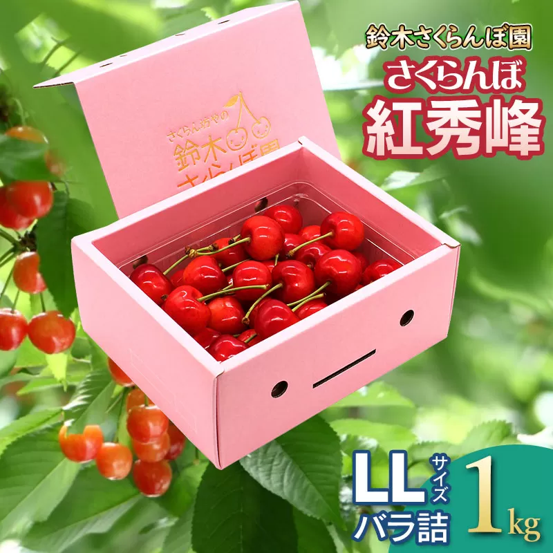 【令和7年産先行予約】 さくらんぼ 紅秀峰 LLサイズ バラ詰め 1kg　山形県鶴岡産　鈴木さくらんぼ園