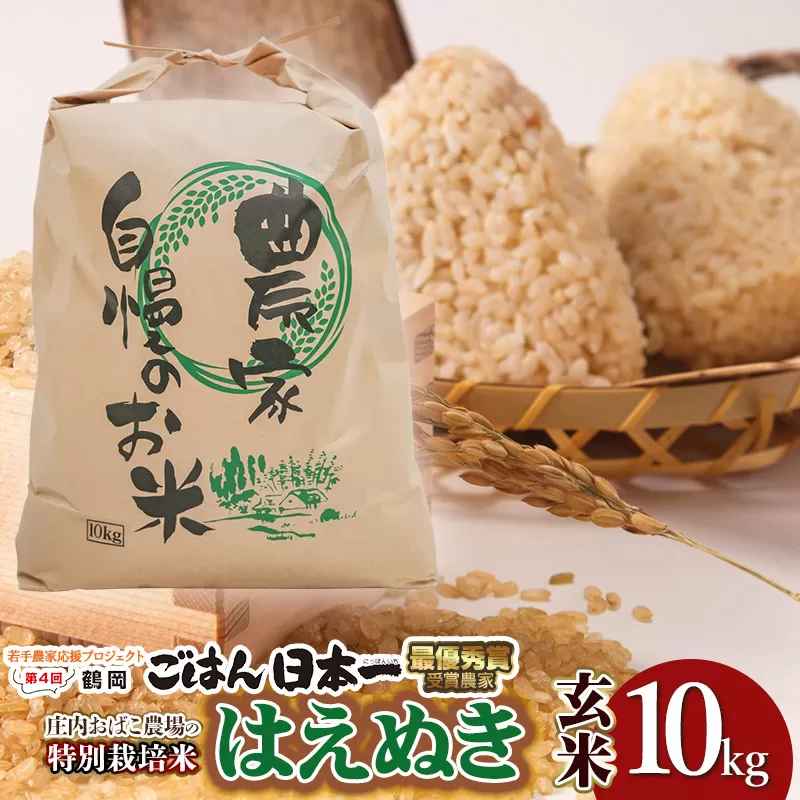 【令和7年産】庄内おばこ農場の特別栽培米 はえぬき【玄米】10kg（10kg×1袋）　K-784
