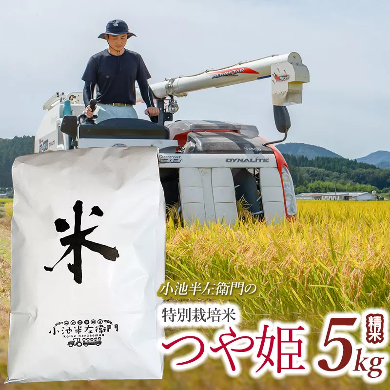 数量限定 【令和6年産先行予約】 山形県庄内産 小池半左衛門のお米 特別栽培米 つや姫 精米 5kg (5kg×1袋)