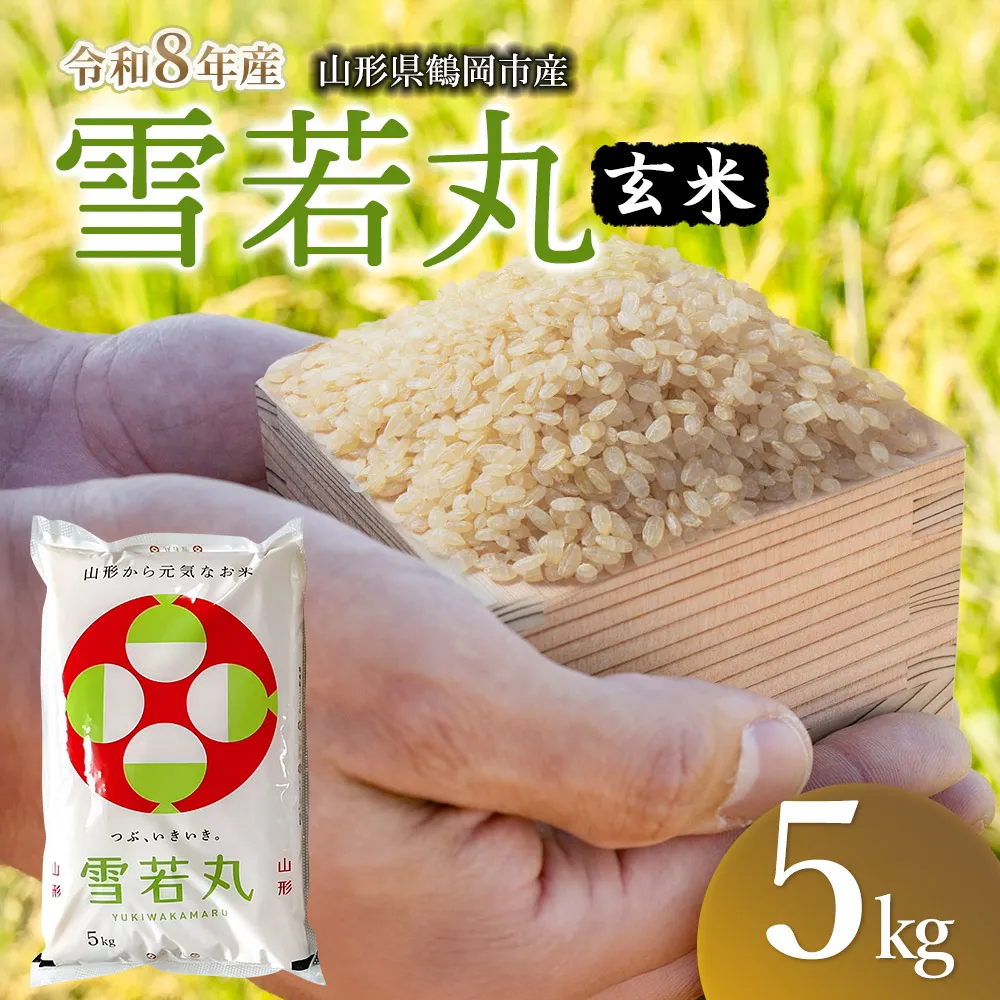 【令和8年産 新米】馬町さくらファームの雪若丸 玄米5kg（5kg×1袋） 山形県鶴岡市 K-827 | 米 ゆきわかまる お米 5キロ コメ こめ ご飯 ごはん ブランド米 米どころ 庄内米 国産 美味しい お取り寄せ 農家直送 お弁当 おにぎり おすすめ 人気 返礼品