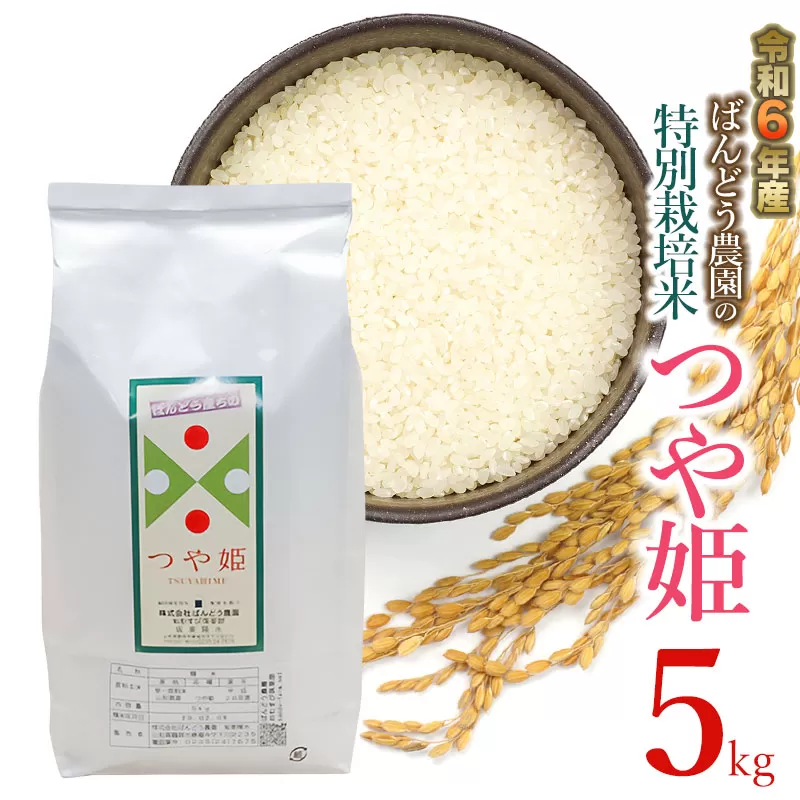 【令和6年産先行予約】ばんどう農園の特別栽培米つや姫5kg　K-630