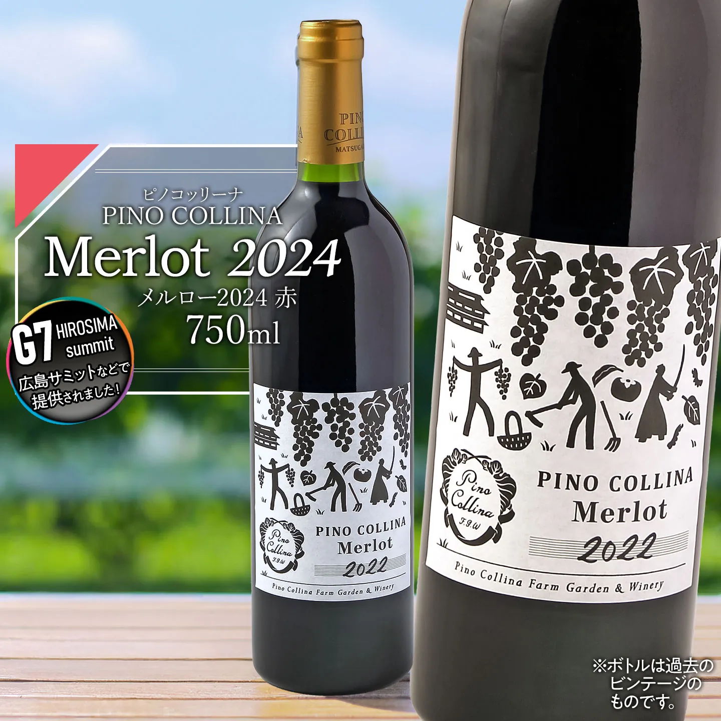 ピノ・コッリーナ メルロー 2024（赤） | 赤ワイン Melrot PINO COLLINA 株式会社エルサン