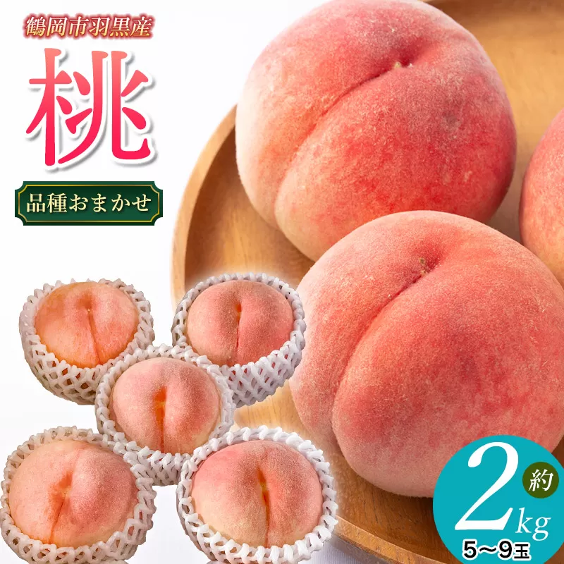 【令和7年産先行予約】JA庄内たがわの桃 約2kg（5～9玉入） 鶴岡市羽黒地域産　K-730