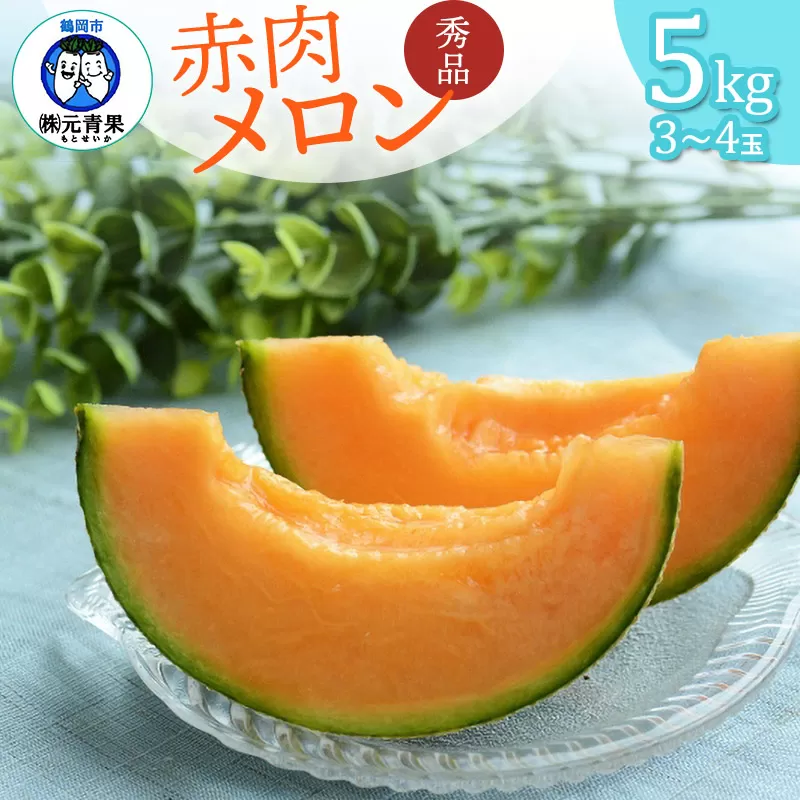 【令和7年産先行予約】 庄内砂丘 赤肉メロン 秀品 大玉 5kg (3～5玉)　山形県鶴岡市 株式会社 元青果