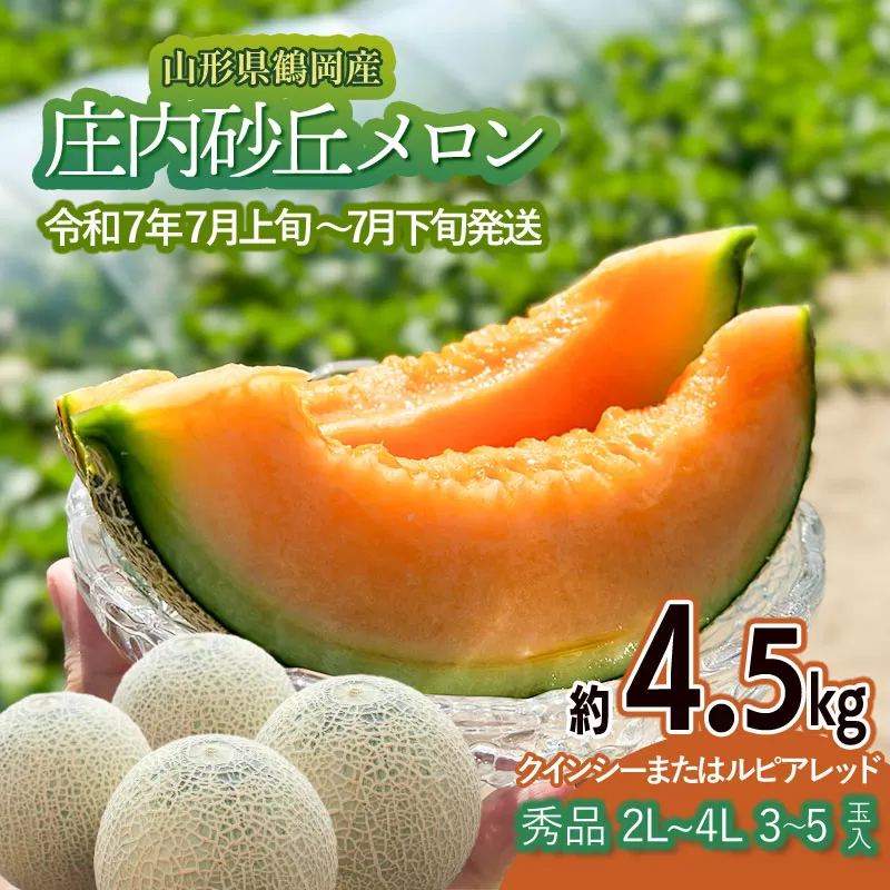 【令和7年産先行予約】 庄内砂丘メロン（赤肉）約4.5kg 2L～4L 【秀品】 3玉～５玉入 【令和7年7月上旬～7月下旬頃発送予定】山形県鶴岡産 紅花メロン 丸果庄内青果