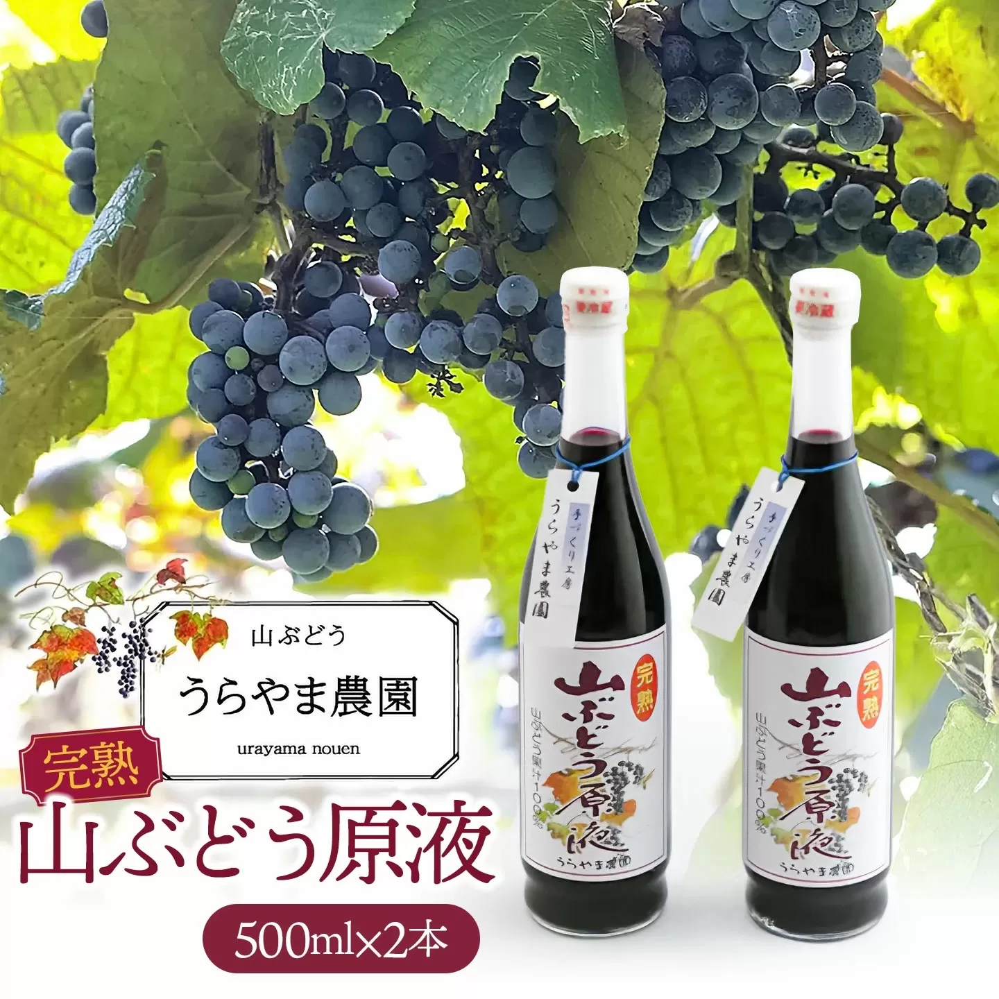 うらやま農園の完熟山ぶどう原液　500ml×２本　山形県鶴岡市　K-844　| やまぶどう 飲料 果汁 飲料 ポリフェノール 贈り物 ギフト お取り寄せ 返礼品