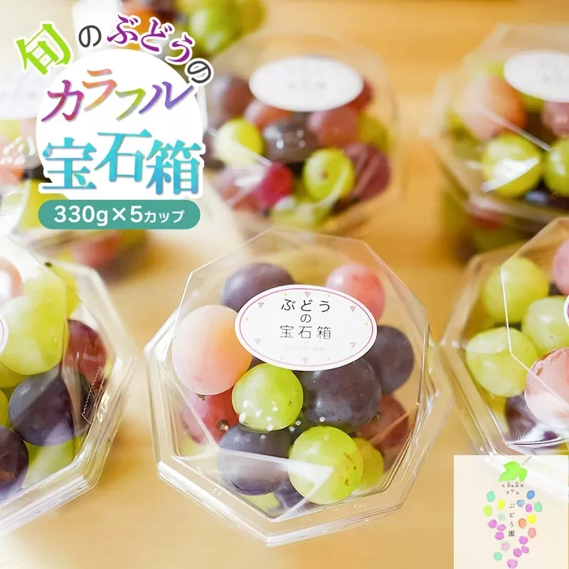 【令和8年産先行予約】お楽しみ！旬のぶどうのカラフル宝石箱 330g×5カップ　カラフルぶどう園