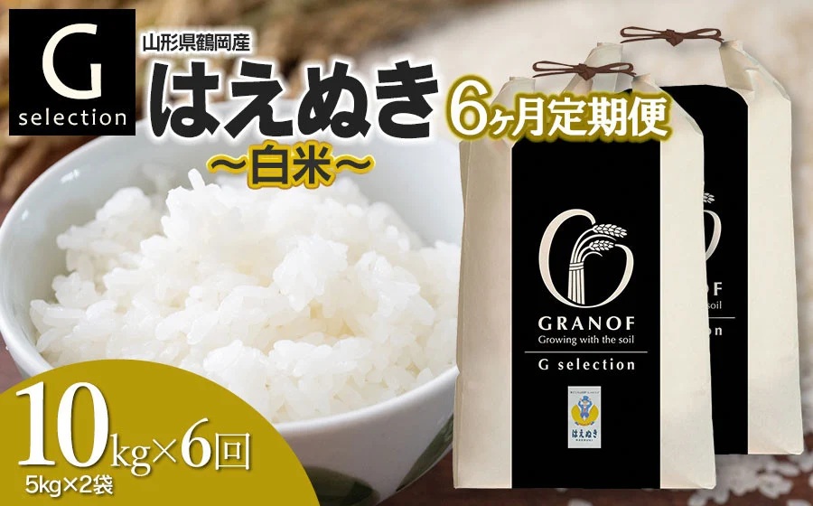 令和２年　山形県庄内産　はえぬき　白米２０ｋｇ　Ｇセレクション 令和5年産米】【山形県庄内産】はえぬき5kg×4袋 計20kg 精米