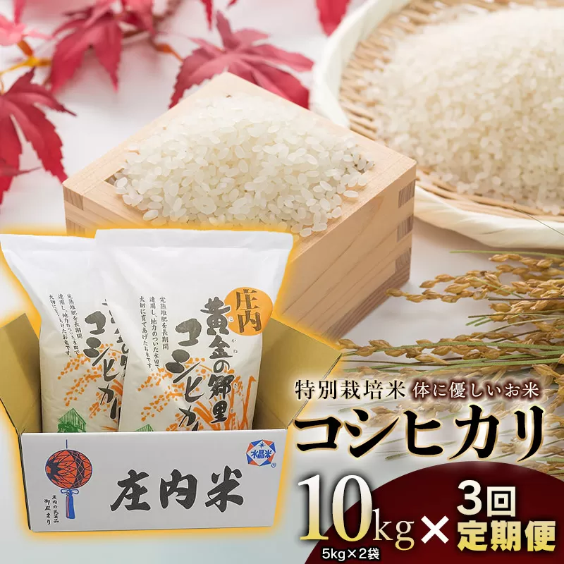 【3回定期便】【令和7年産】 特別栽培米 体に優しいお米・こしひかり 10kg(5kg×2)×3回 山形県庄内産　鶴岡米穀商業協同組合