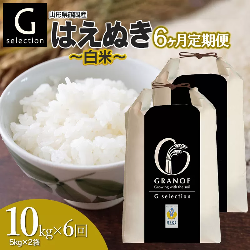 【令和7年産先行予約】【定期便6ヶ月】 Gセレクション はえぬき 白米 10kg (5kg×2袋)×6ヶ月 山形県鶴岡市産　株式会社グラノフ
