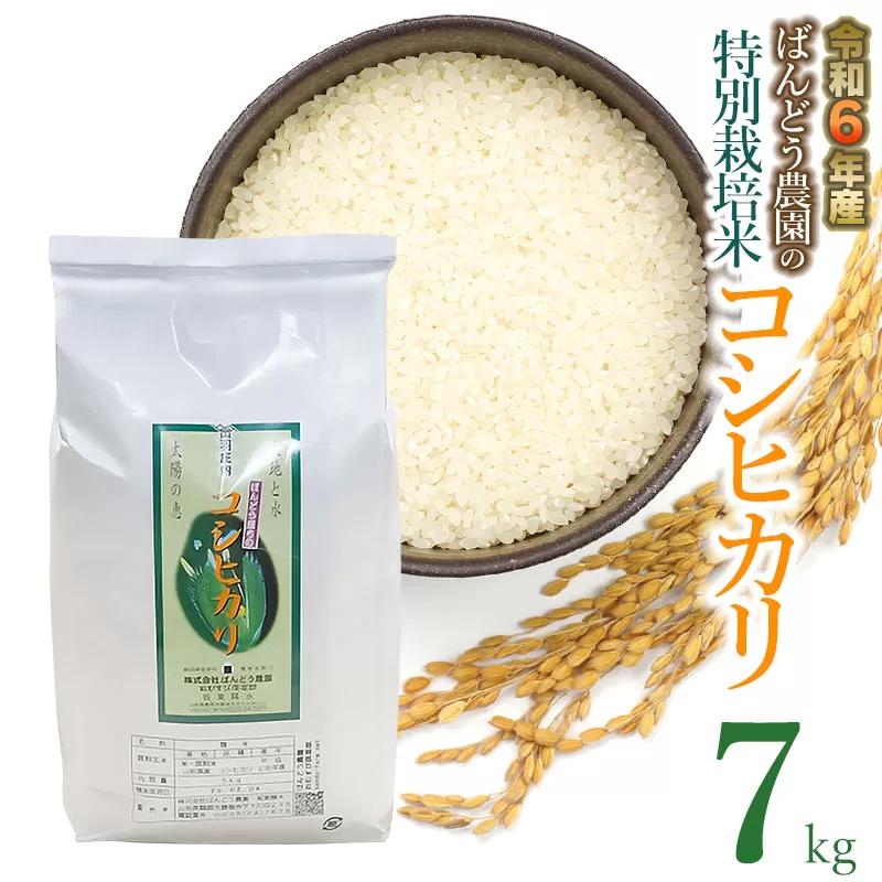 【令和6年産先行予約】ばんどう農園の特別栽培米 コシヒカリ 7kg　K-630