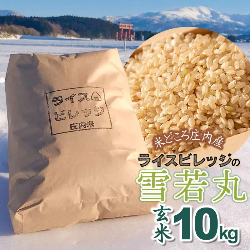 令和7年産　米どころ庄内産ライスビレッジの雪若丸 玄米10kg　K-7117