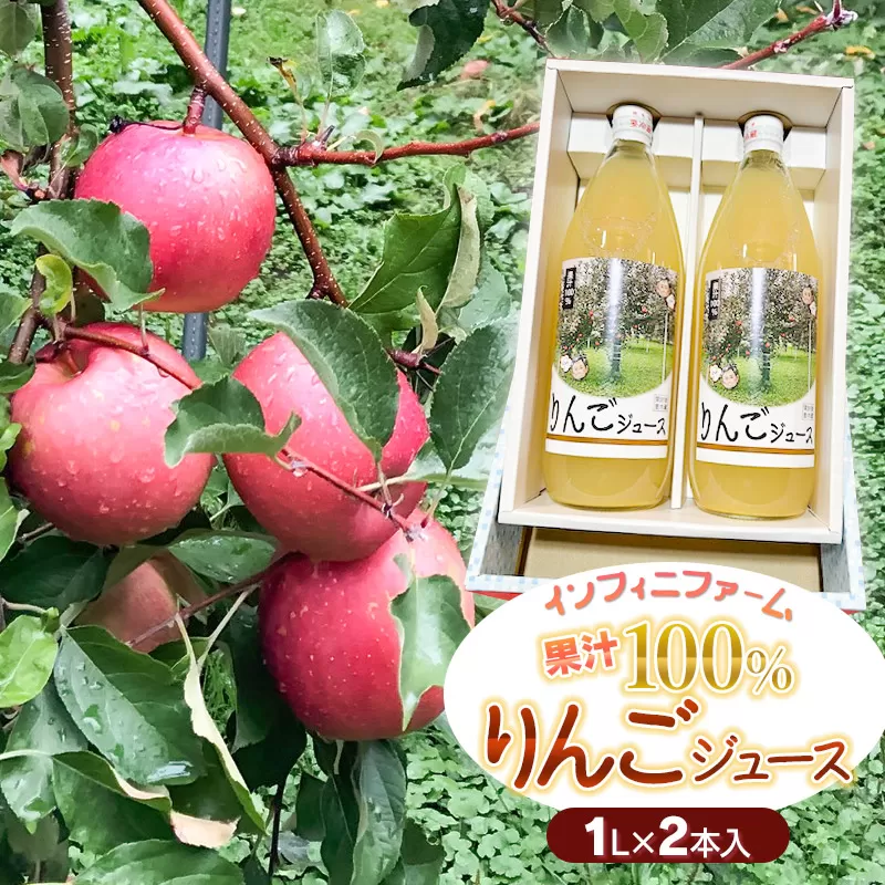 100％果汁 りんごジュース1L×2本入　インフィニファーム　K-624