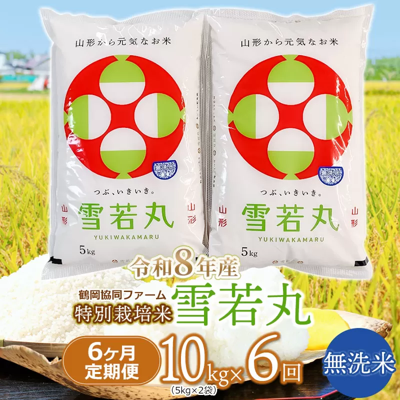 【令和8年産 新米】 特別栽培米雪若丸 無洗米 10kg (5kg×2袋) ×6ヶ月【定期便】 山形県鶴岡産 鶴岡協同ファーム
