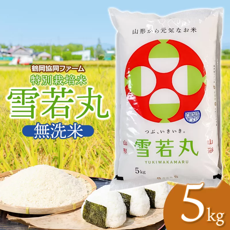 【令和7年産】【新米】 特別栽培米雪若丸　無洗米 5kg　(5kg×1袋)　山形県鶴岡産　鶴岡協同ファーム