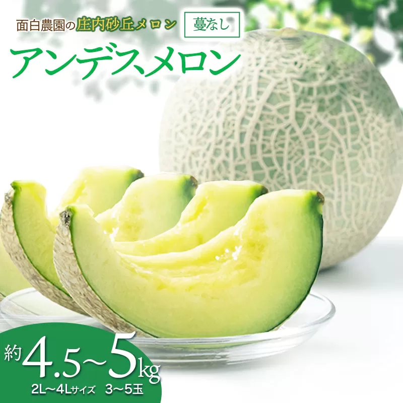 【令和7年産 先行予約】 庄内砂丘メロン　2L～4Lサイズ　約4.5㎏～5kg　(3～5玉)　つるなしアンデスメロン　山形県鶴岡市産　面白農園