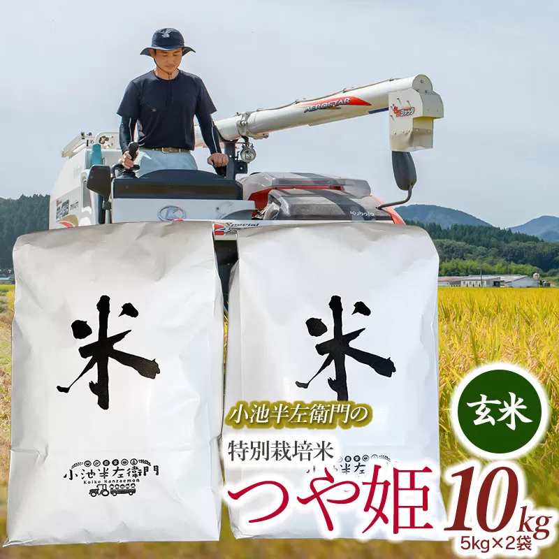 数量限定 【令和6年産先行予約】 山形県庄内産 小池半左衛門のお米 特別栽培米 つや姫 玄米 10kg (5kg×2袋)