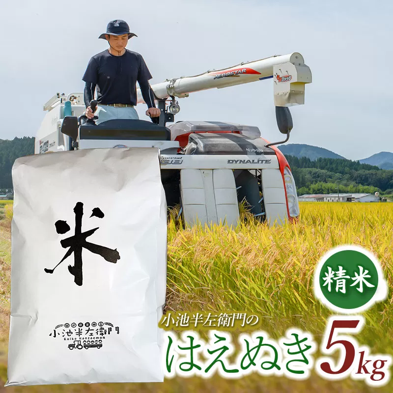 数量限定 【令和7年産先行予約】 山形県庄内産 小池半左衛門のお米 はえぬき 精米 5kg (5kg×1袋)
