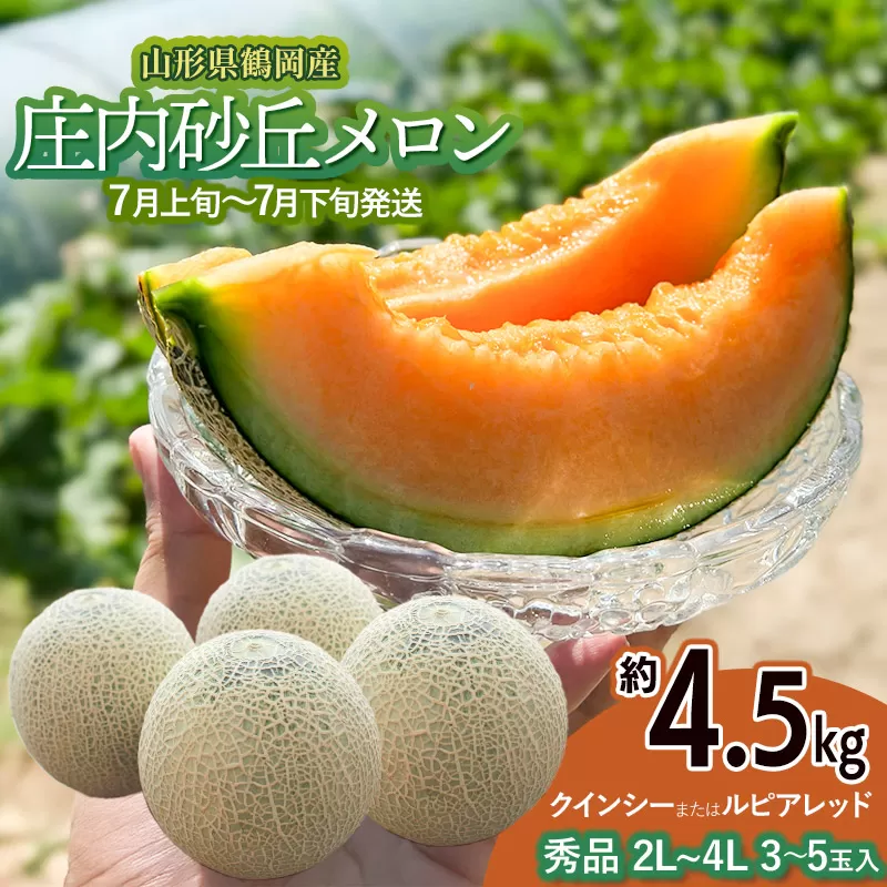 【令和8年産先行予約】 庄内砂丘メロン（赤肉）約4.5kg 2L～4L 【秀品】 3～5玉入 【令和8年7月上旬～7月下旬頃発送予定】山形県鶴岡産 紅花メロン　丸果庄内青果