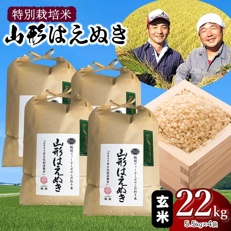 【令和6年産先行予約】特別栽培米 山形はえぬき玄米22kg(5.5kg×4袋)　山形県鶴岡市産　鶴岡ファーマーズ