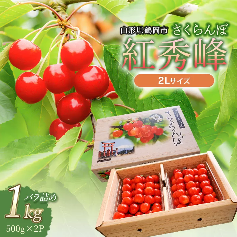 【令和7年産先行予約】紅秀峰 2Lサイズ バラ詰め 1kg 小林農園 さくらん坊