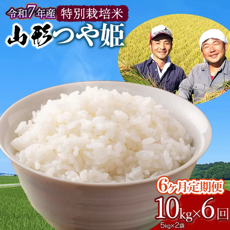 【令和7年産先行予約】【定期便】 特別栽培米 山形つや姫 精米 10kg(5kg×2袋)×6ヶ月　山形県鶴岡市産　鶴岡ファーマーズ