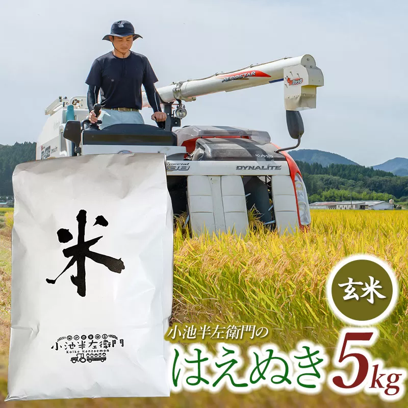 数量限定 【令和7年産先行予約】 山形県庄内産 小池半左衛門のお米 はえぬき 玄米 5kg (5kg×1袋)