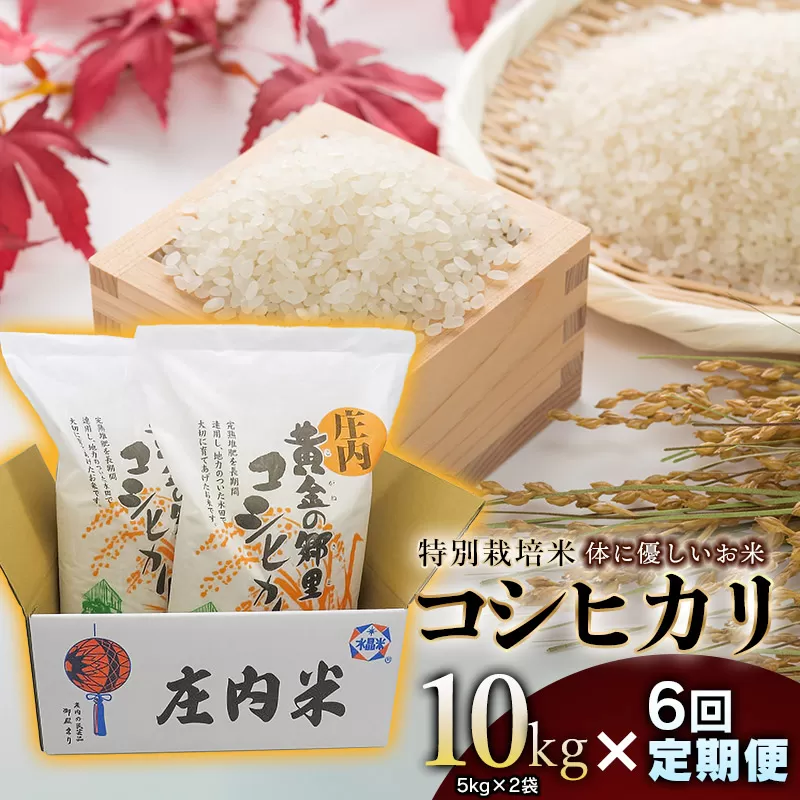 【令和6年産】特別栽培米 体に優しいお米・こしひかり10kg（5kg×2）【6回定期便】 山形県庄内産　鶴岡米穀商業協同組合