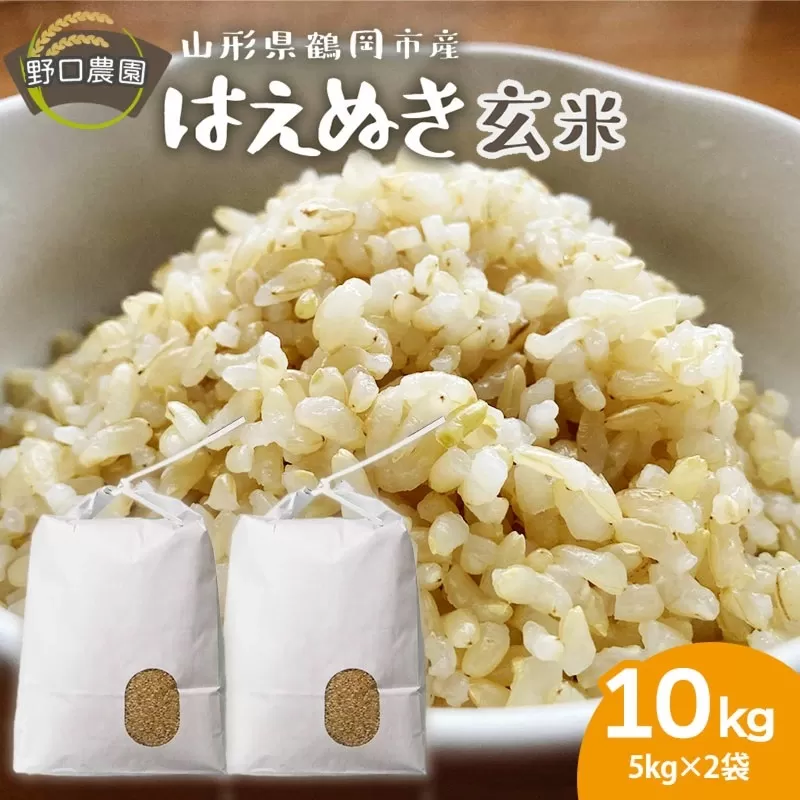 【令和6年産】 はえぬき 玄米 10kg（5kg×2袋）山形県鶴岡市産　野口農園